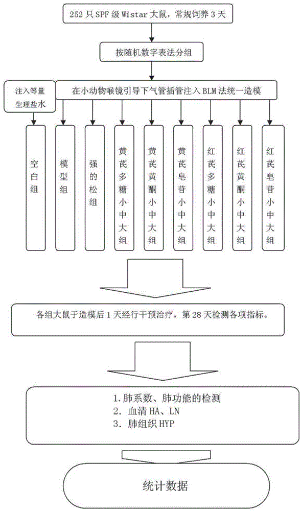 Application of Effective Fractions of Astragalus and Radix Radix