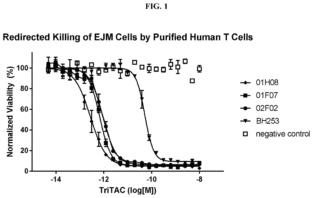 B cell maturation antigen binding proteins