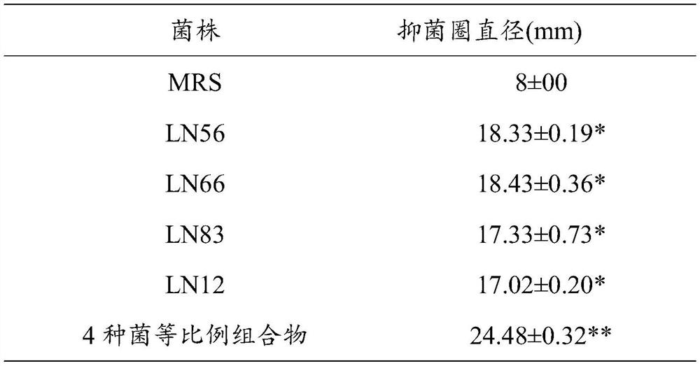 Probiotic composition for inhibiting helicobacter pylori and application