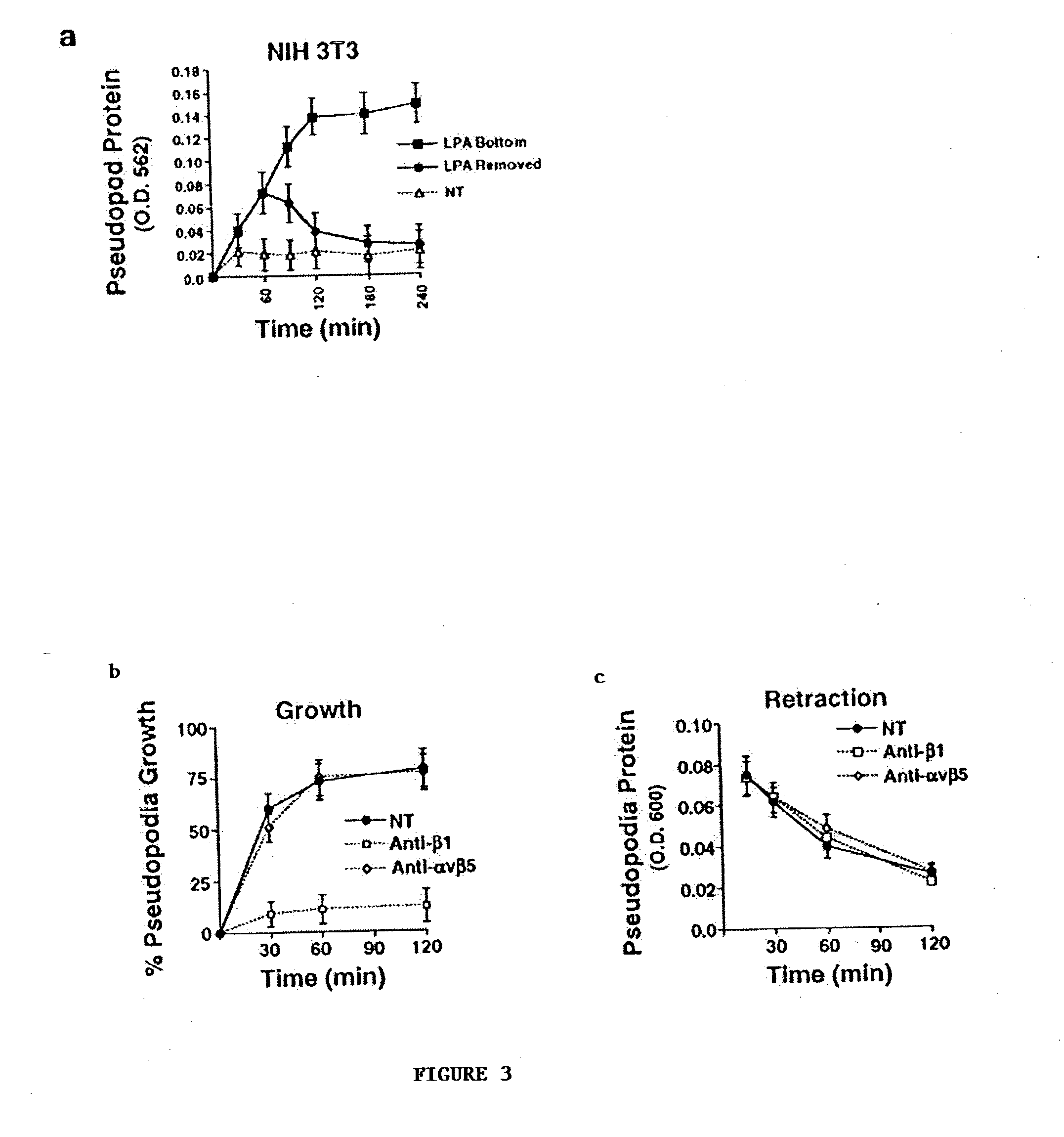 Purification of the leading front of migratory cells