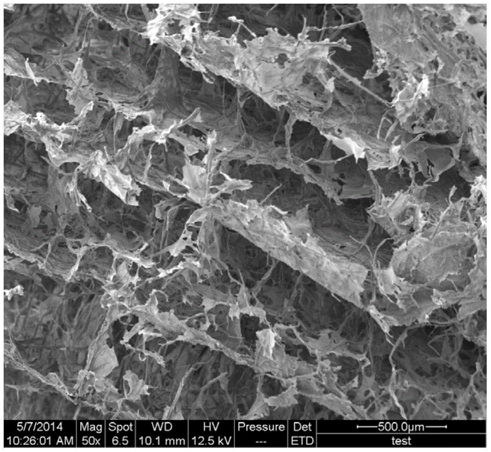 Preparation method of nano cellulose/chitosan composite foam