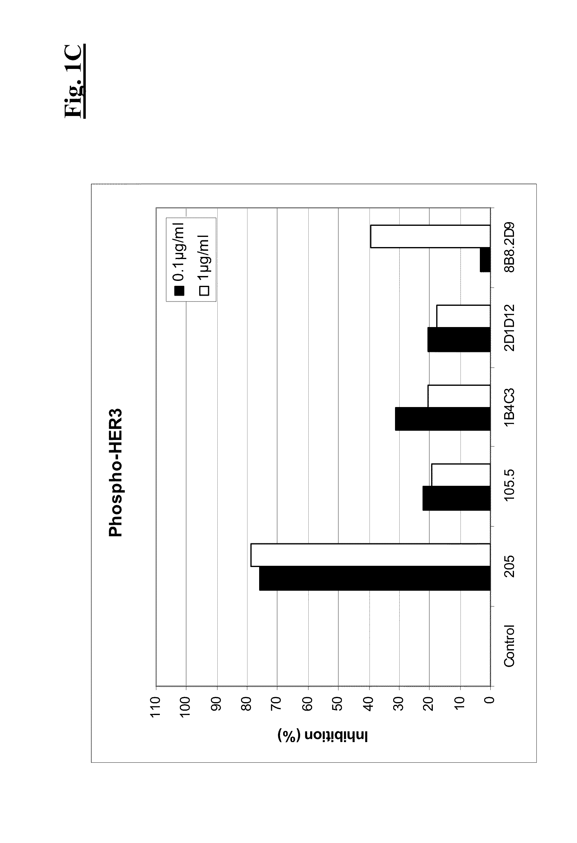 Combination therapy of Anti-her3 antibodies