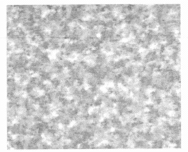 Method for preparing low-temperature polysilicon thin film material