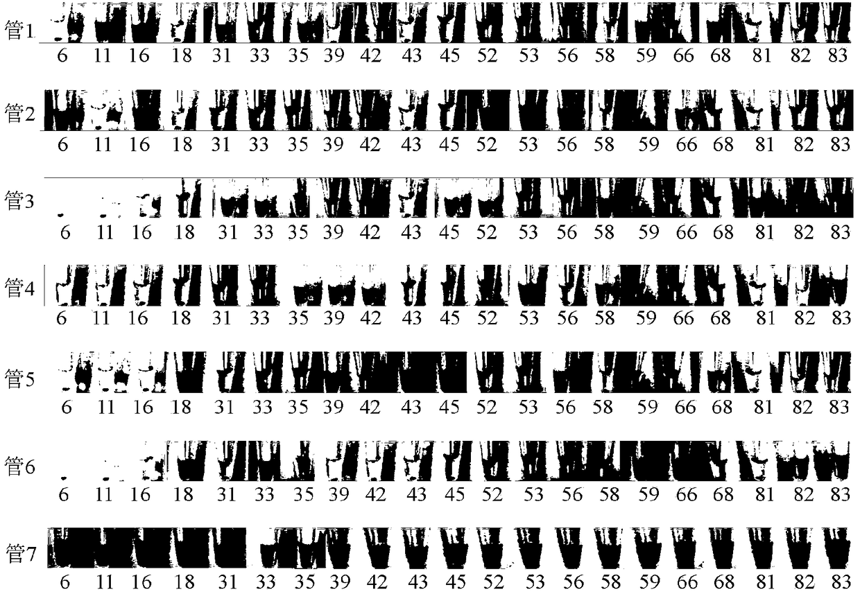 A novel kit and method for typing 21 human papillomavirus subtypes