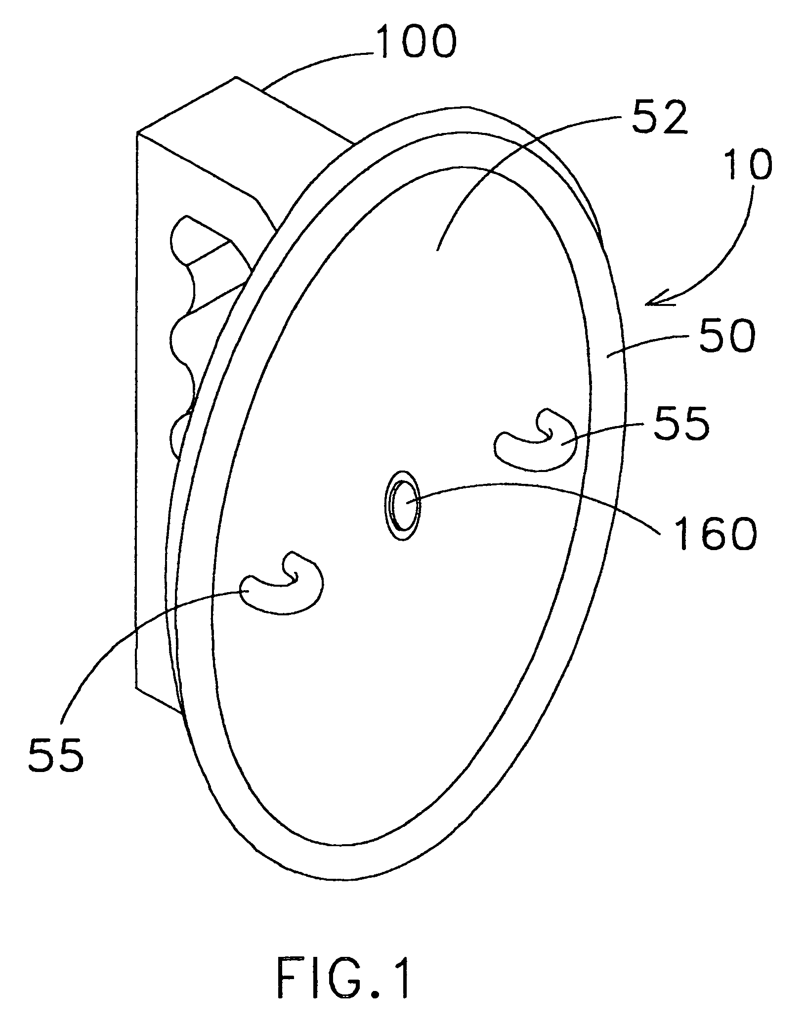 Apparatus and method for walking animals