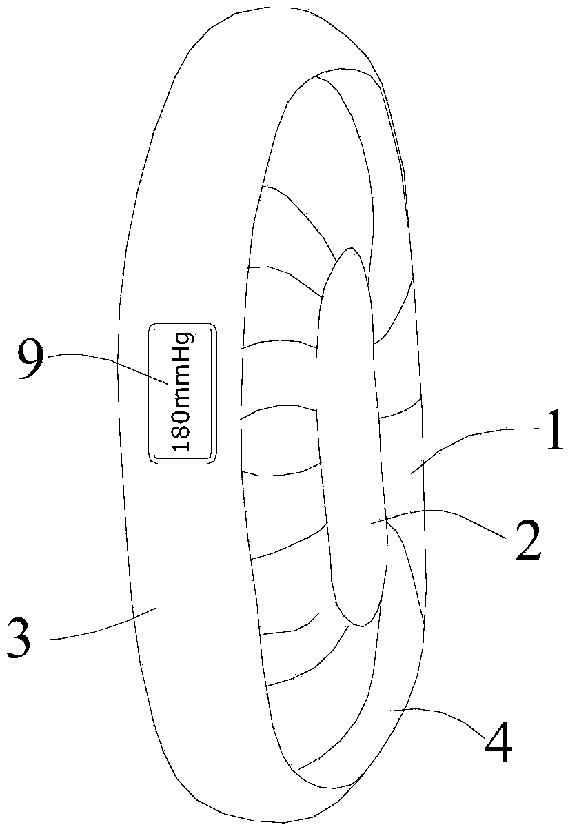 Limb surgical apparatus with exsanguination and hemostasis functions