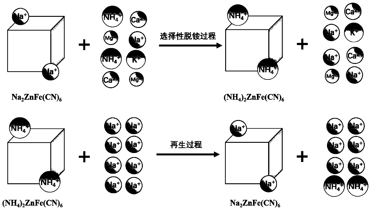 Preparation method of sodium ferrocyanide zinc deammonization material and its application in deammonization of sewage