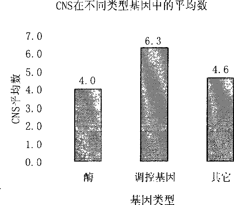 General use molecular marker CNS-AFLP for gramineae