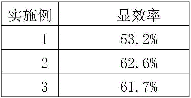 Type-II diabetes preparation and preparation method thereof