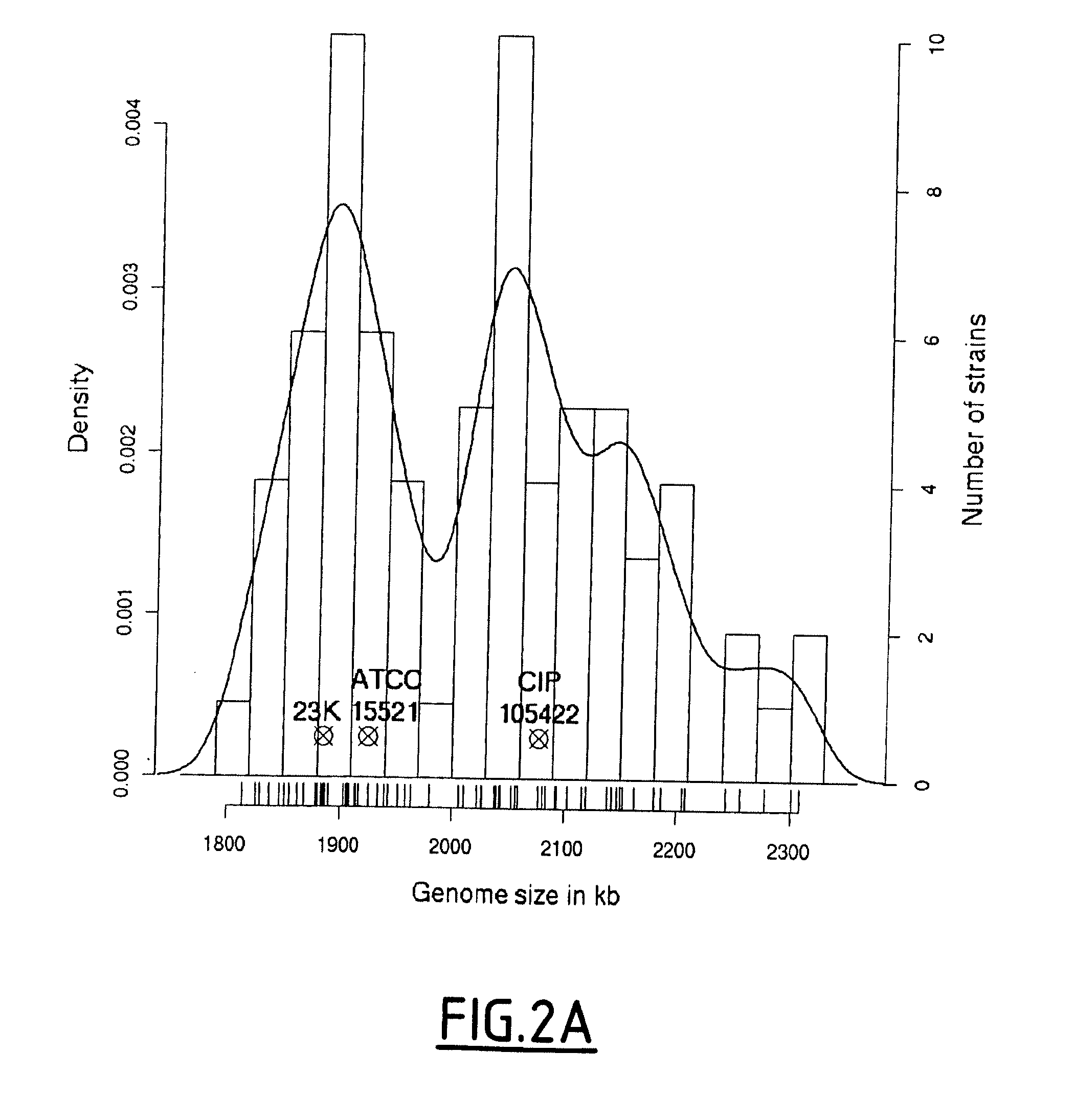 Combination of Marker Genes for Characterizing a Lactobacillus Sakei Strain