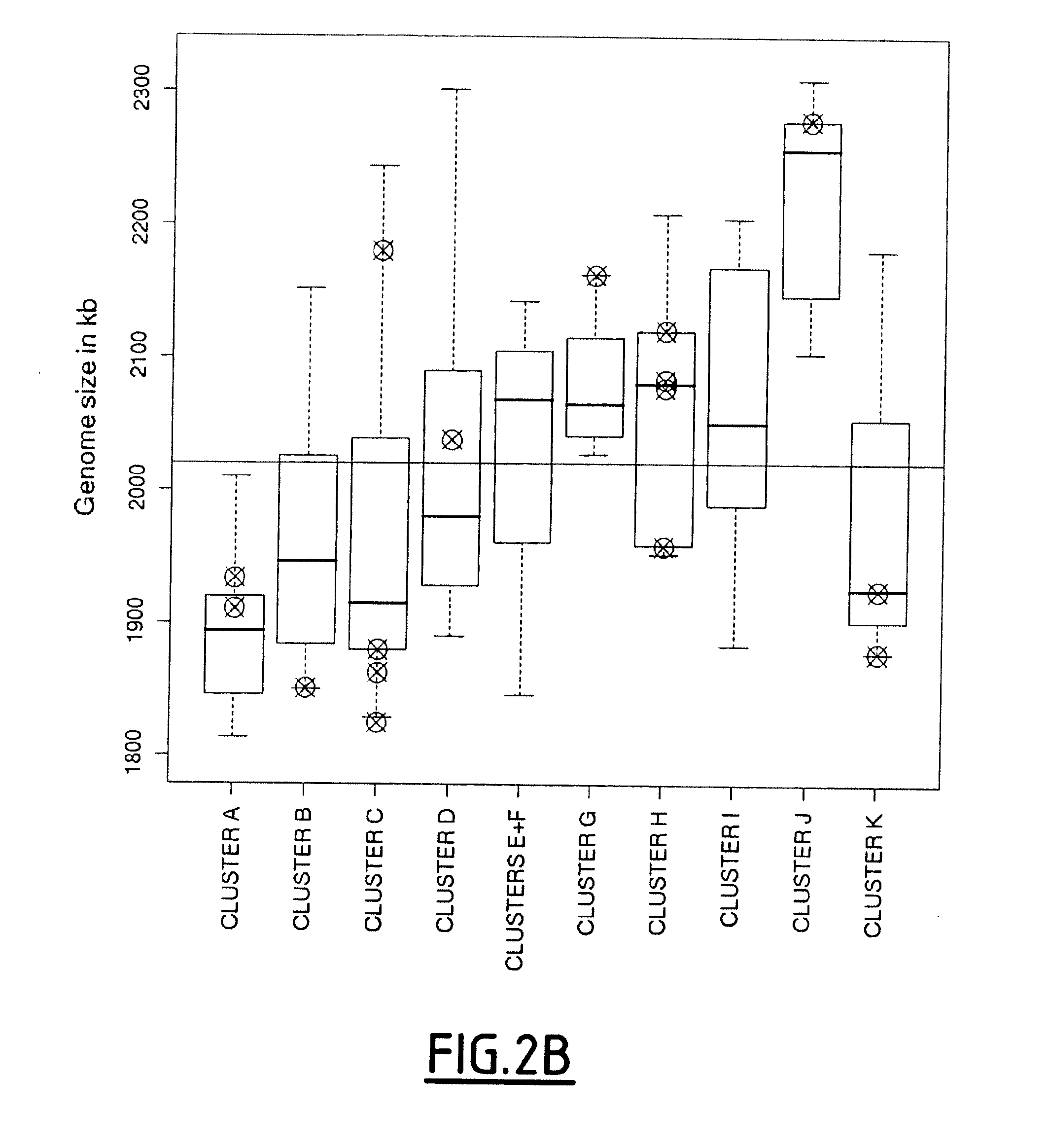 Combination of Marker Genes for Characterizing a Lactobacillus Sakei Strain