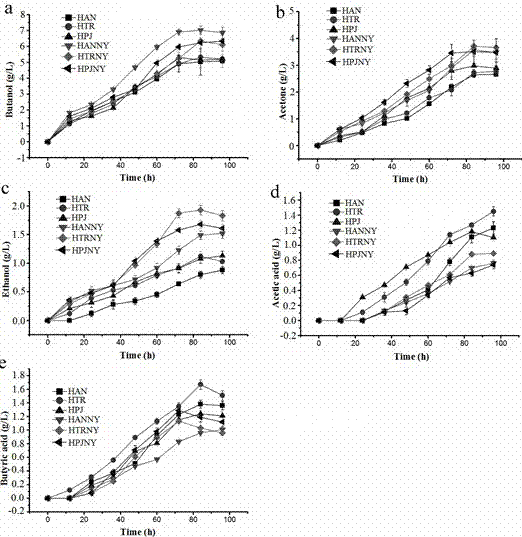 A kind of pretreatment method that utilizes bagasse to ferment and produce butanol