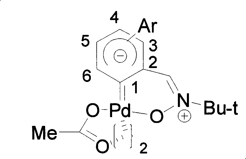 Biphenyl nitrone carbocyclic carbene-palladium complex and method for synthesizing same