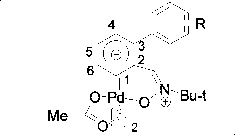 Biphenyl nitrone carbocyclic carbene-palladium complex and method for synthesizing same