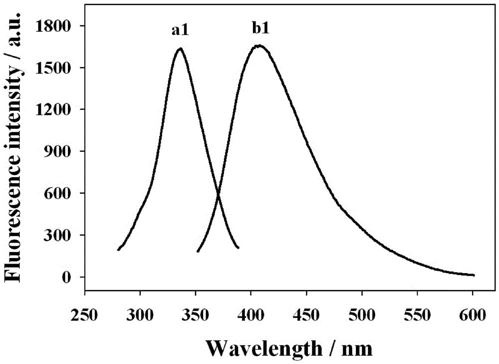 Bovine serum albumin-stabilized copper nano-cluster fluorescence biosensor and preparation method and application thereof