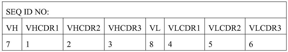 cBIN1 antibody and application thereof