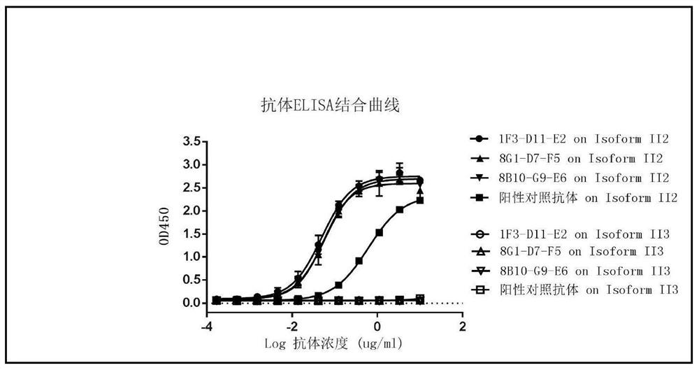 cBIN1 antibody and application thereof