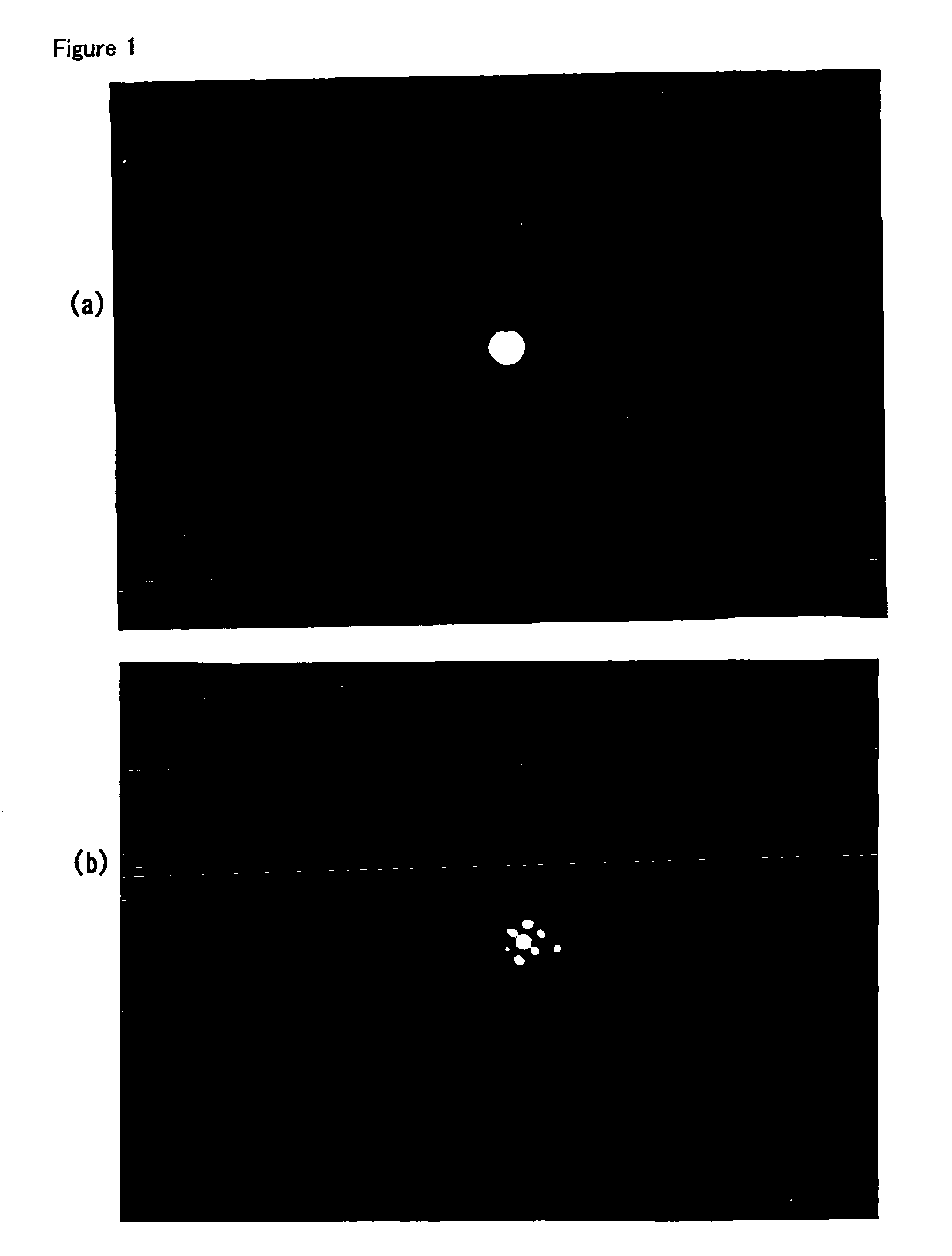 Member having photocatalytic function and method for manufacture thereof