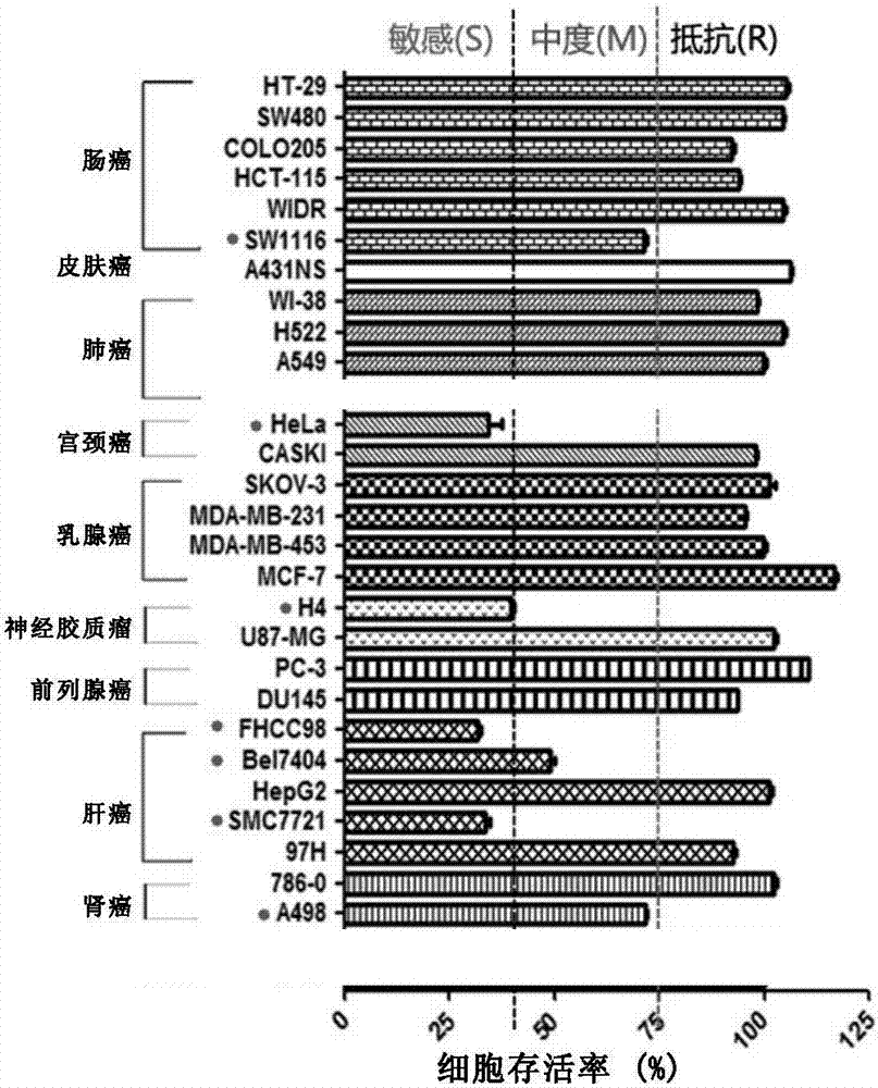 Applications of phosphodiesterase PDE3A in determination of tumor treatment effect of Anagrelide