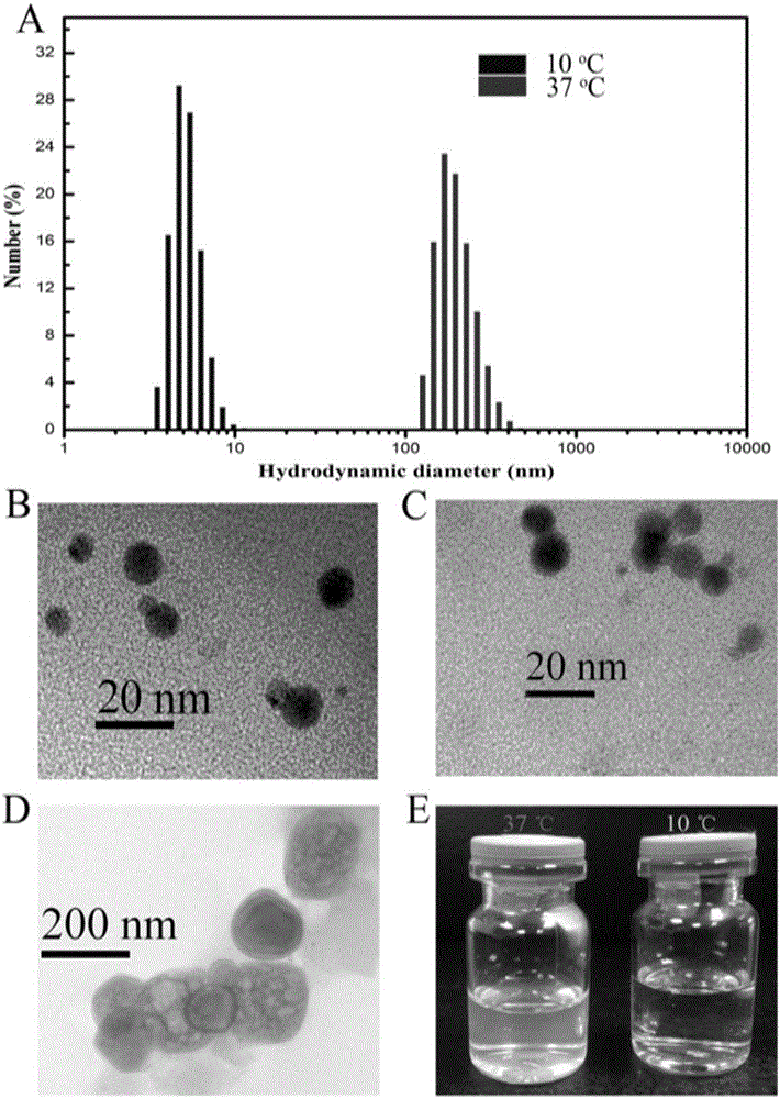 Fusion protein comprising tumor necrosis factor-related apoptosis-inducing ligand, preparation method of fusion protein, and nanoparticles formed by self-assembled fusion proteins