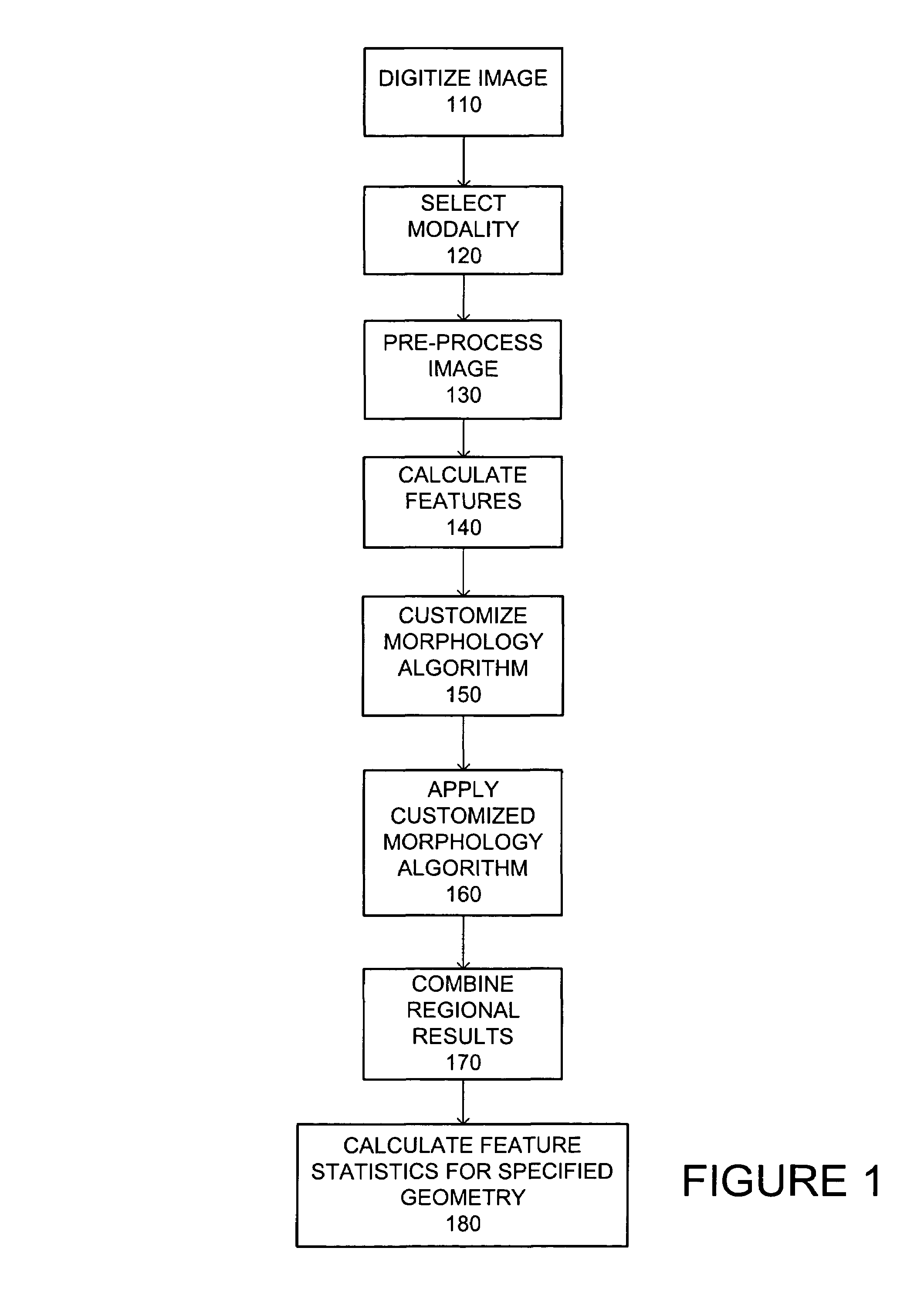 System and method for automation of morphological segmentation of bio-images