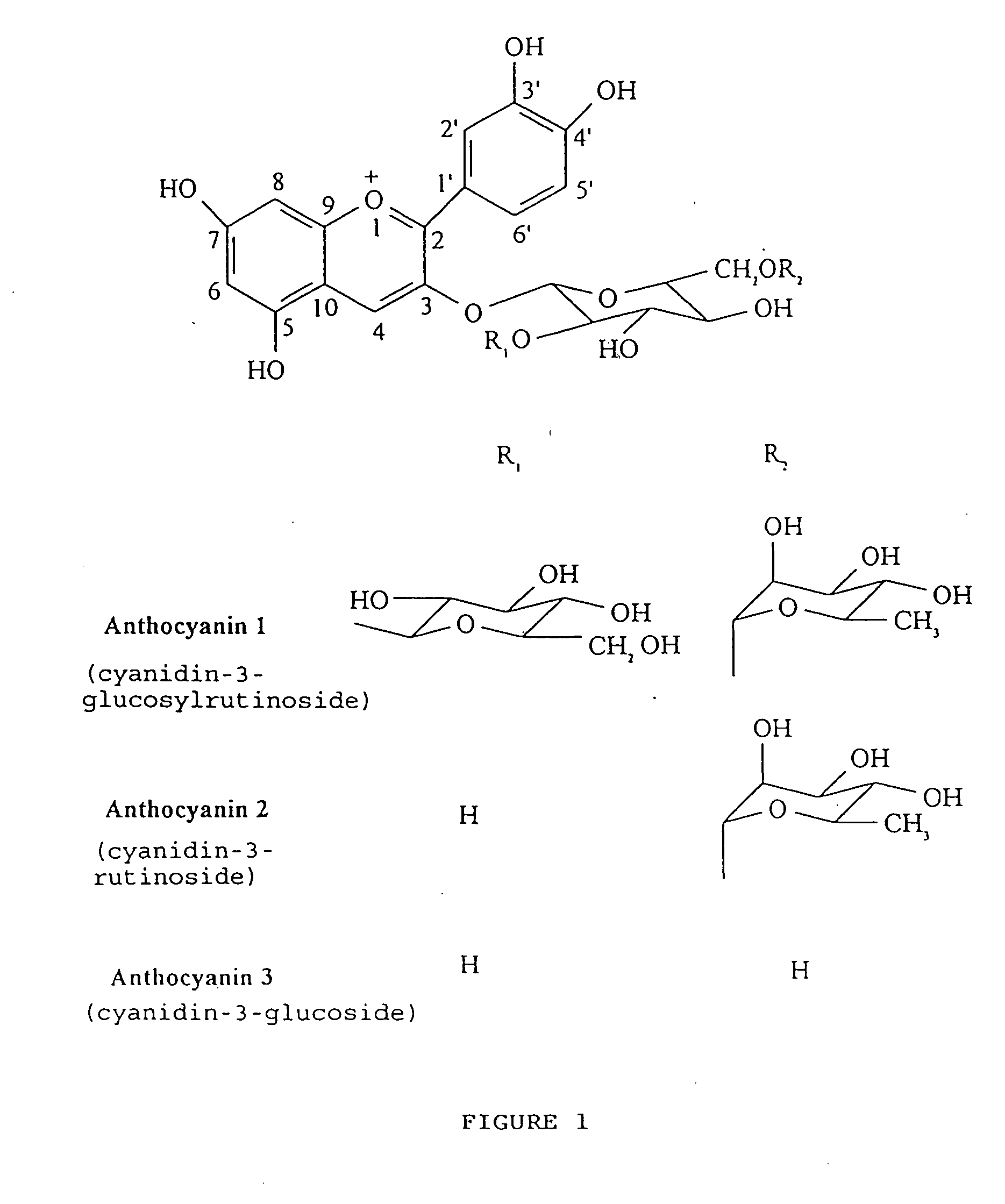 Method and compositions for producing berry derived products
