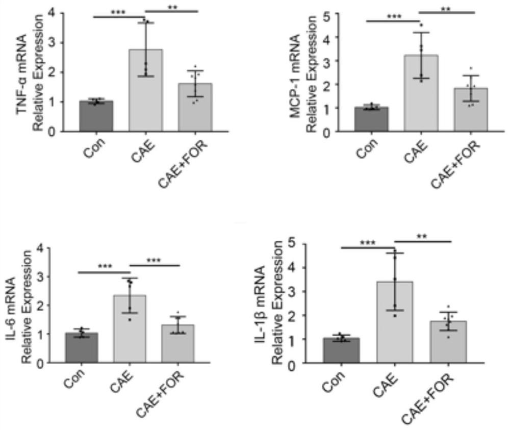 Application of formononetin in preparation of medicine for preventing and treating acute pancreatitis diseases