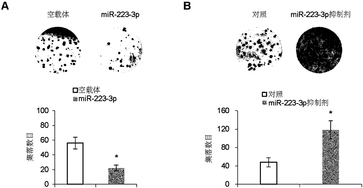 MiR-223-3p for inhibiting growth and transfer of osteosarcoma