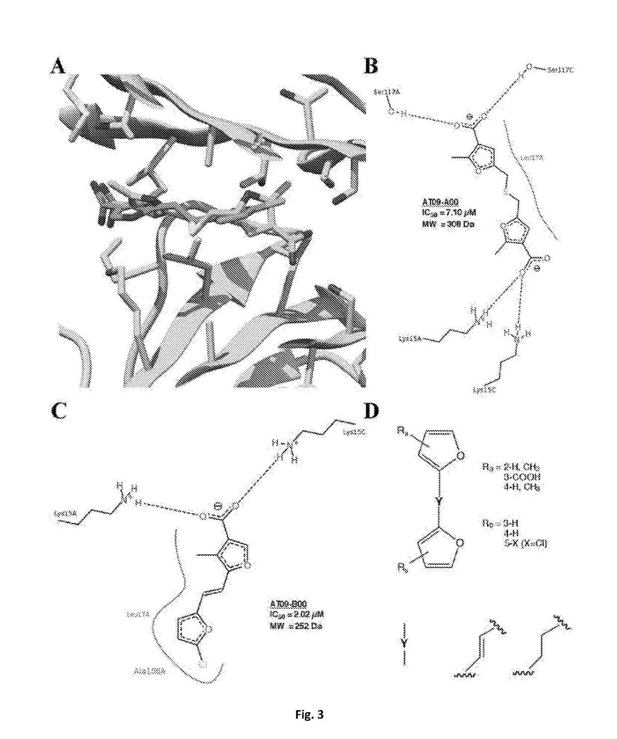 Bis-furan derivatives as transthyretin (TTR) stabilizers and amyloid inhibitors for the treatment of familial amyloid polyneuropathy (FAP)