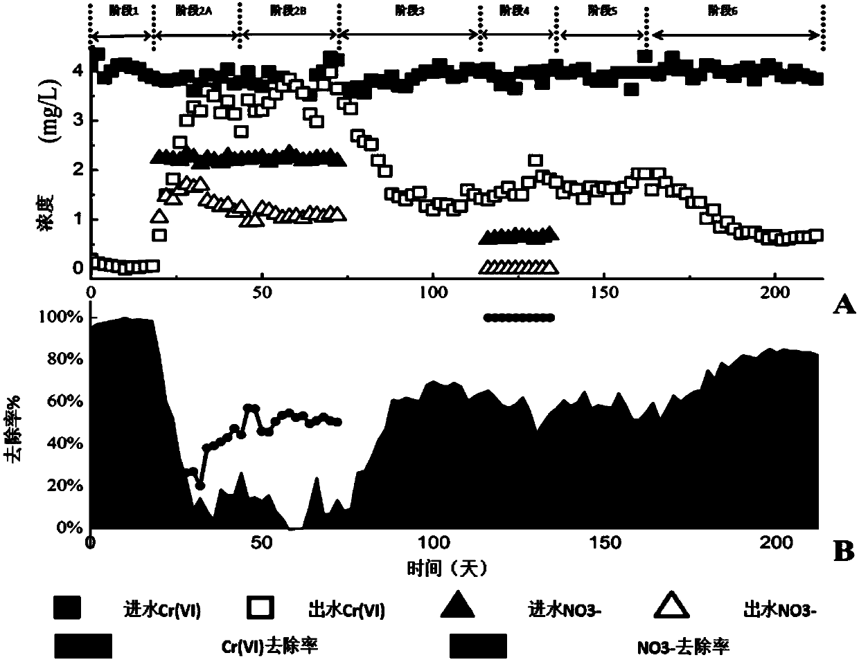 Method for reducing hexavalent chromium in methane matrix biomembrane by NO&lt;3&gt;&lt;-&gt;