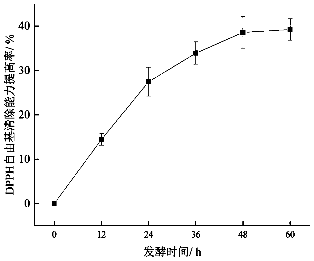 High-antioxidation-activity compound fermented beverage and production method thereof