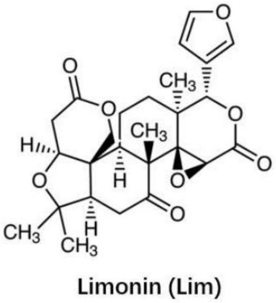 Method for relieving non-alcoholic fatty liver disease by activating AMPK with limonin