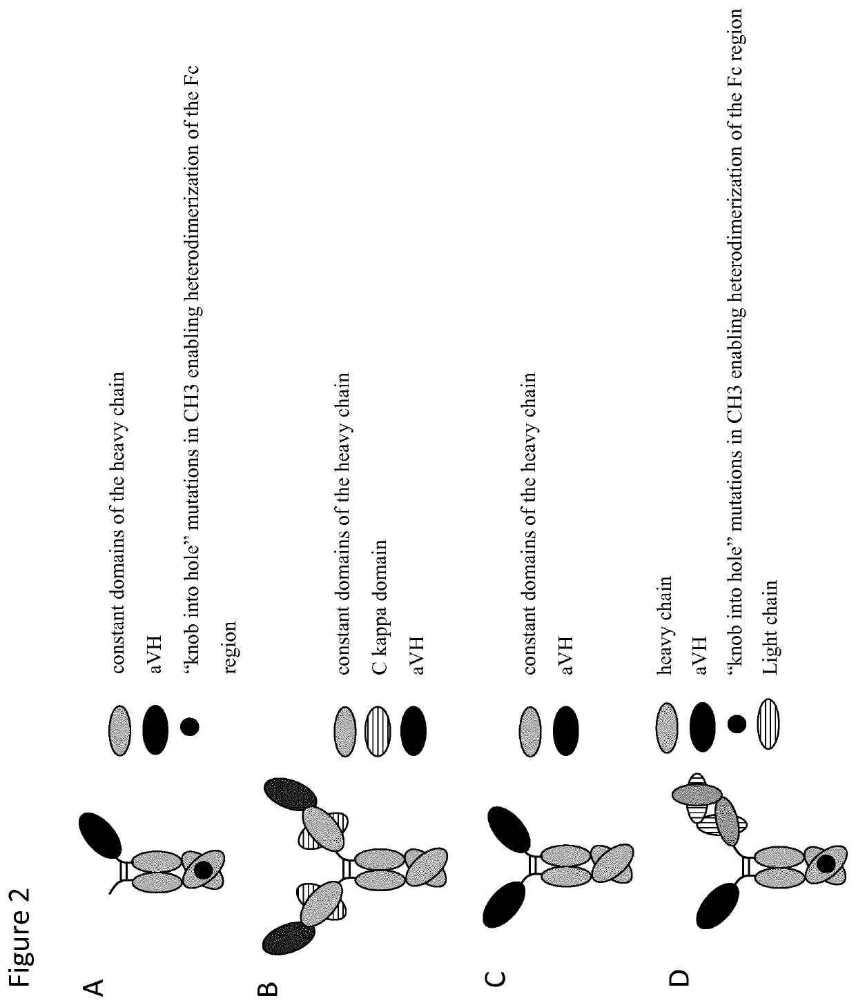 Bispecific antibodies comprising an antigen-binding site binding to lag3