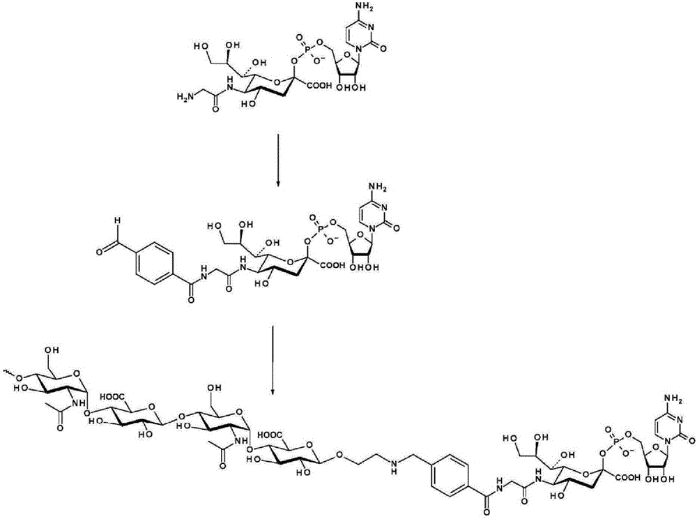 Coagulation factor IX conjugates