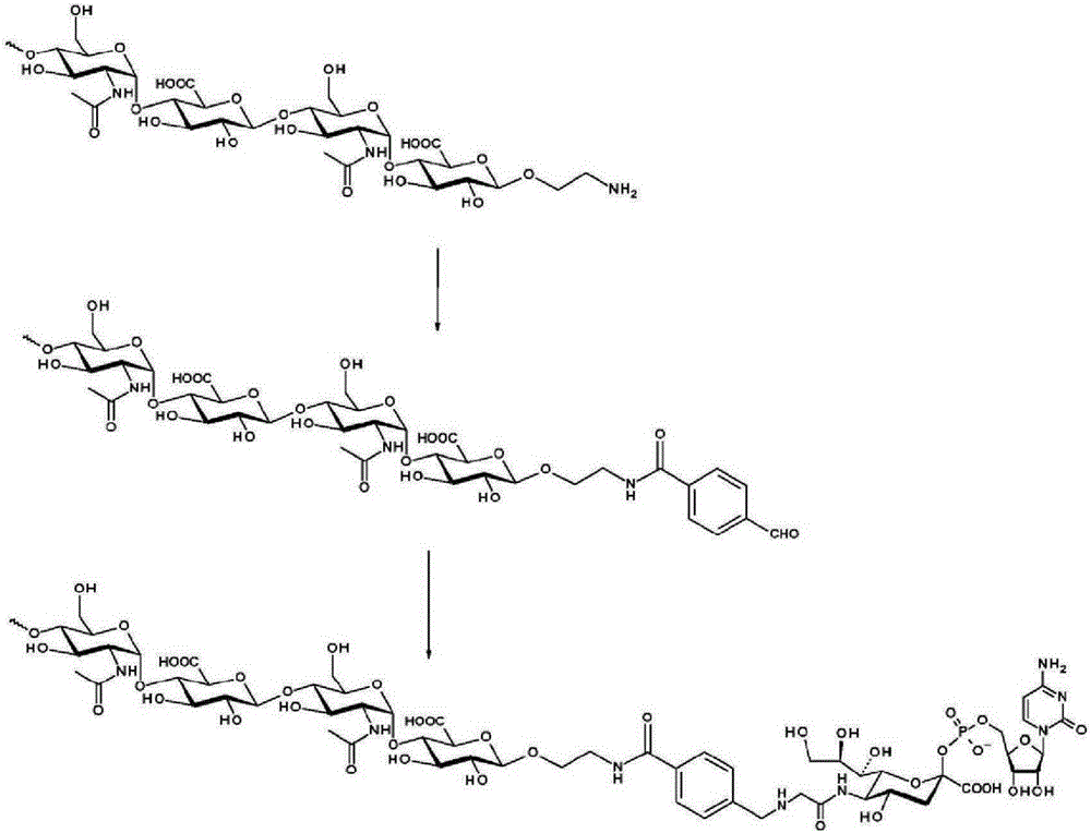 Coagulation factor IX conjugates