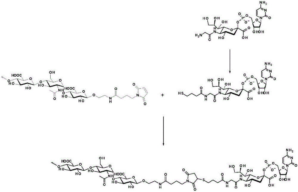 Coagulation factor IX conjugates