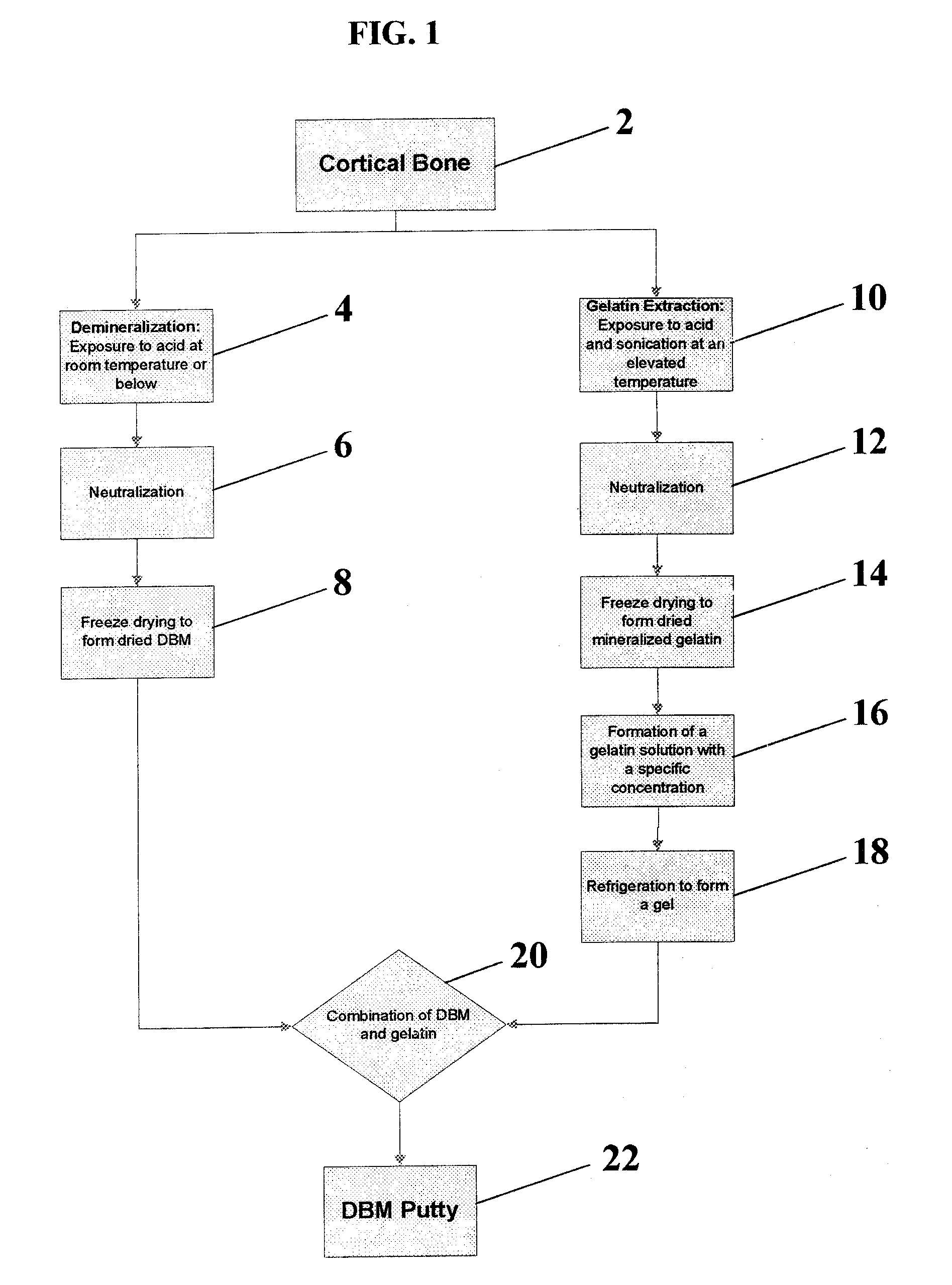 Bone graft materials derived from mineralized gelatin