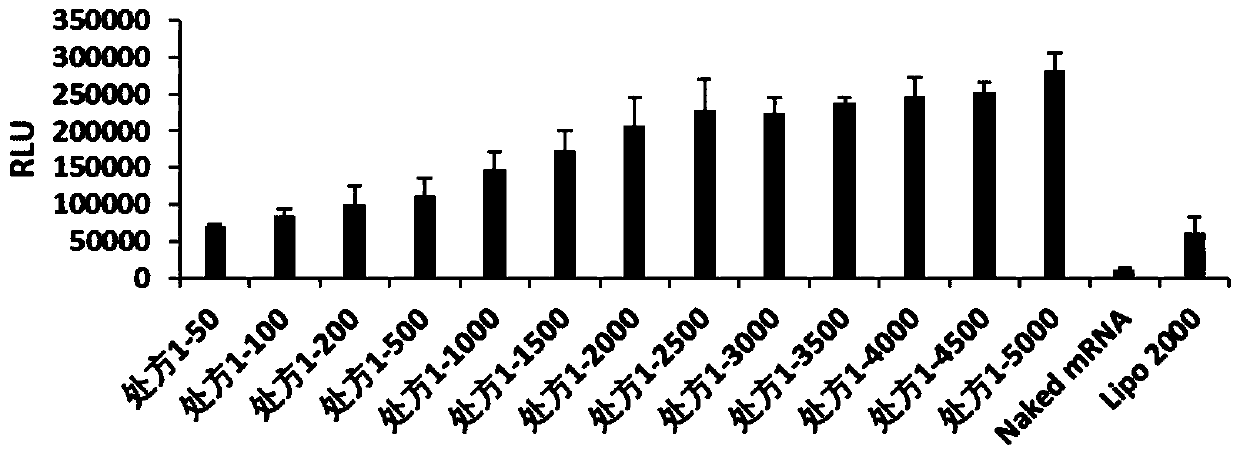 Composite nanoparticles of poloxamer and/or poloxamine in combination with PEG lipids