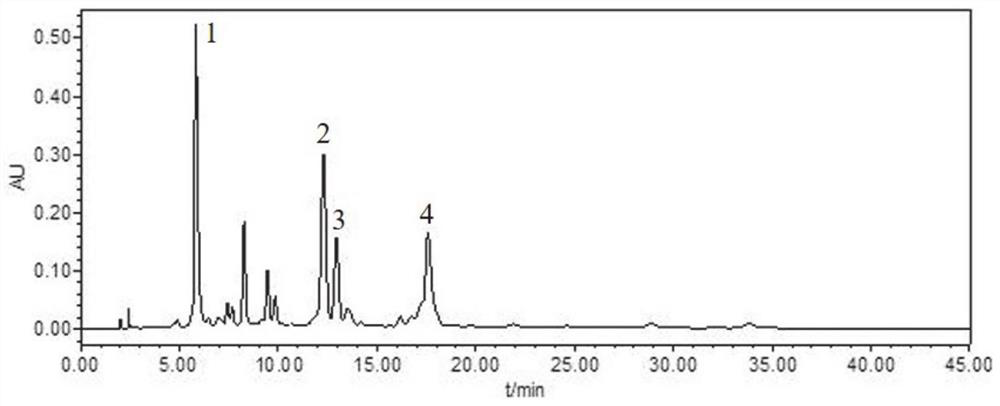 Efficient preparation method of active ingredients of honeysuckle leaves and antiviral application of active ingredients