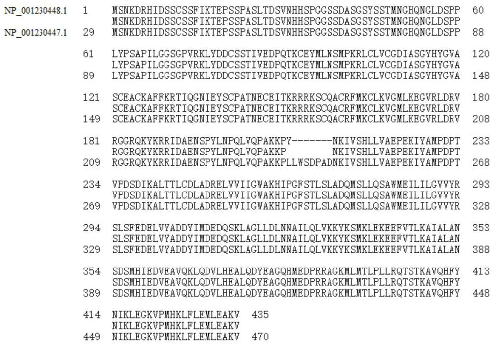 Application of estrogen receptor related receptor gamma (ESRRG) variant transcript in auxiliary diagnosis of pituitary adenoma