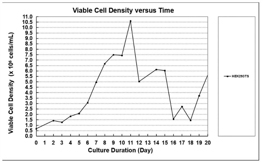 Suspension domestication method of HEK293T cells and application of suspension domestication method in lentivirus production