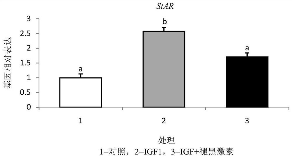 A kind of bovine theca cell in vitro culture regulator and its application