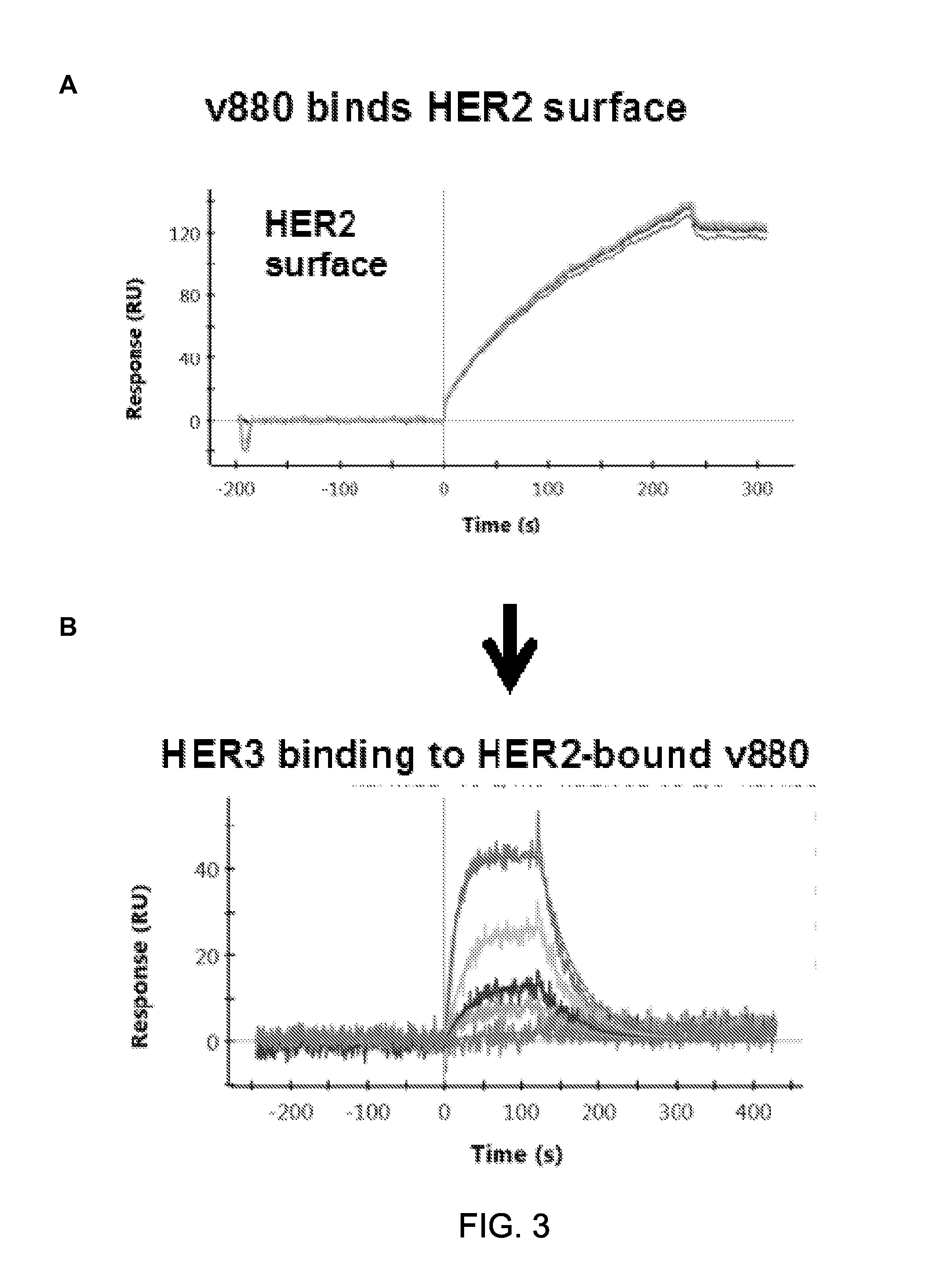 Bispecific HER2 and HER3 Antigen Binding Constructs
