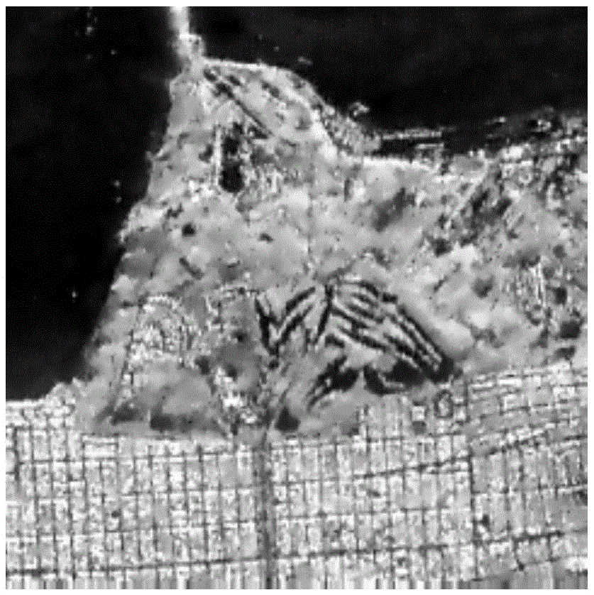 Adaptive bilateral filtering algorithm for polarized SAR image