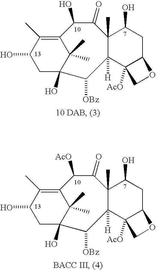 Semi-synthetic conversion of paclitaxel to docetaxel
