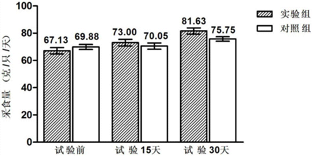 Compound lactobacillus micro-ecological preparation and preparation method and application thereof