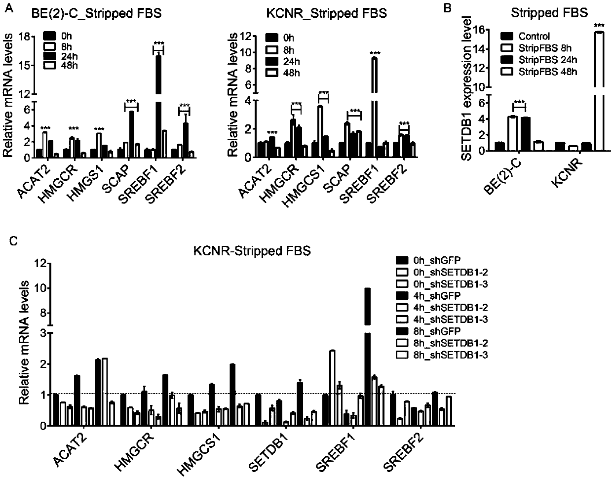 Application of SETDB1 to adjusting and controlling of cholesterol ways