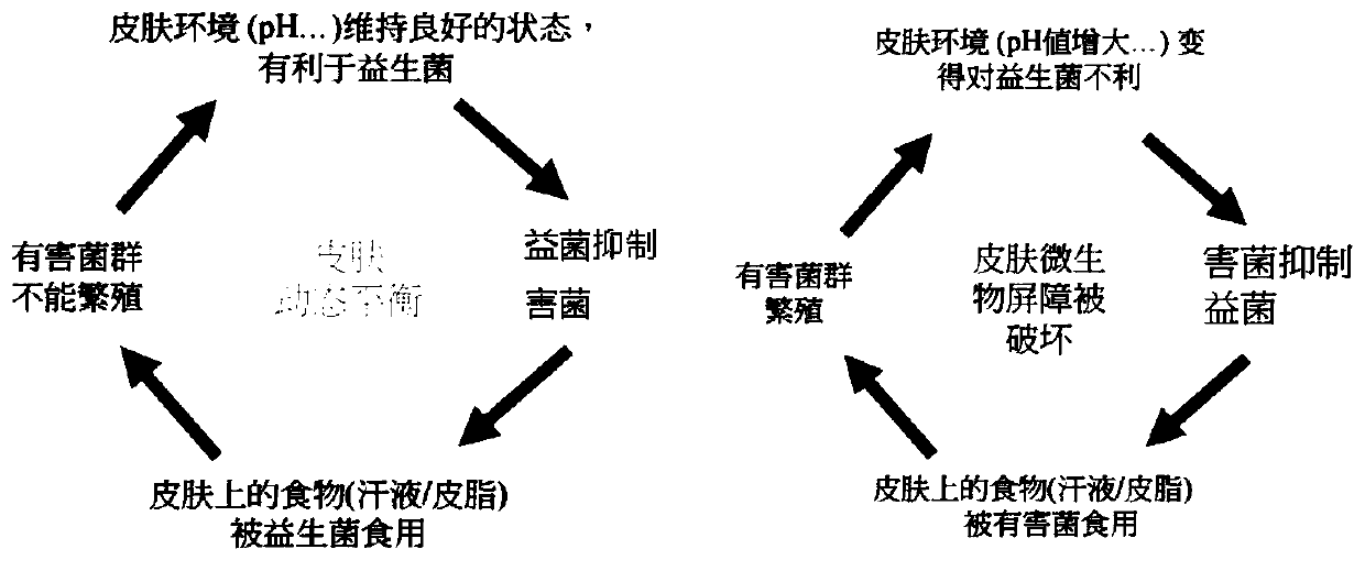 Scalp maintenance composition and its application