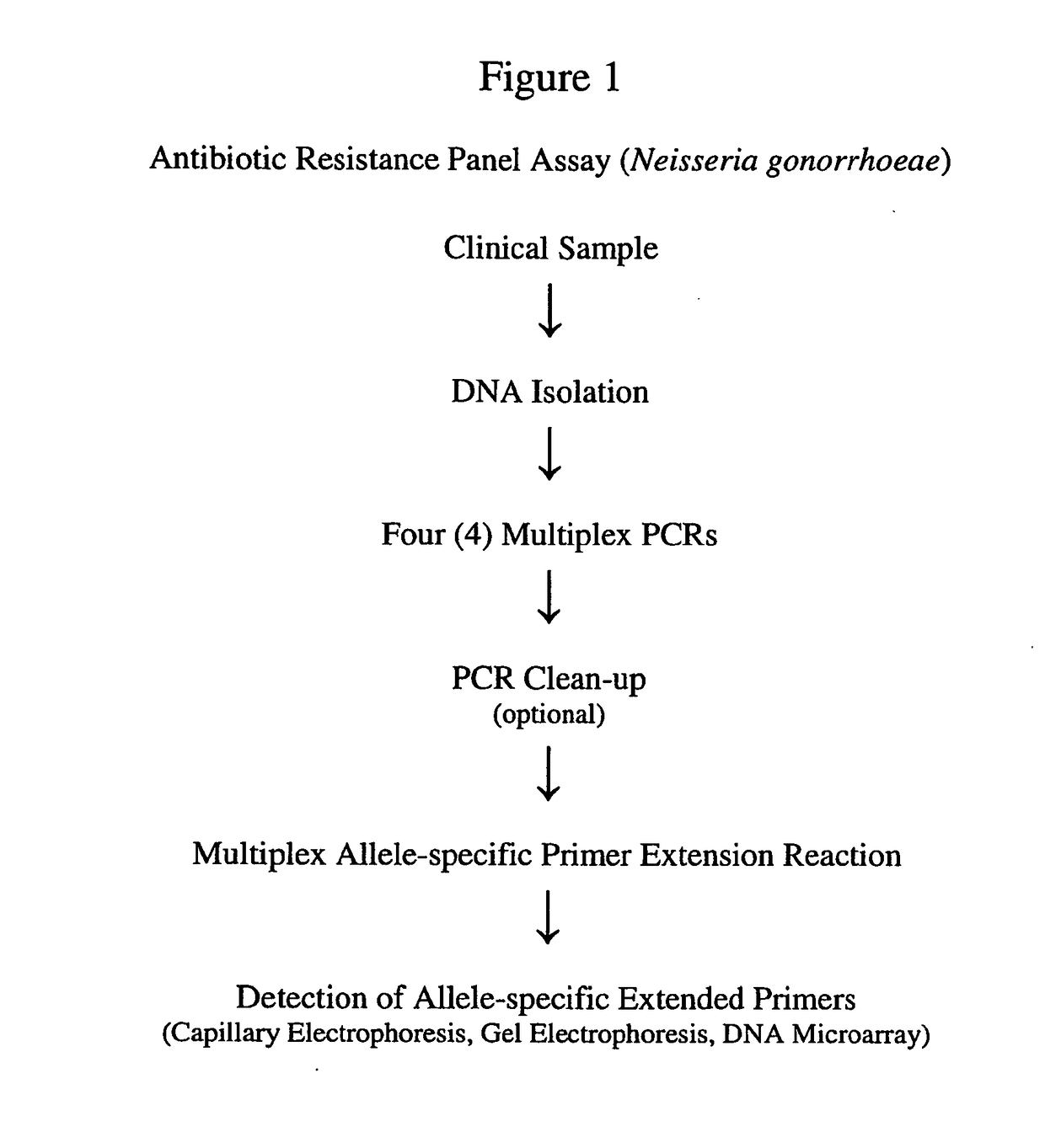 Antibiotic resistance profile for neisseria gonorrhoeae and use of same in diagnosis and treatment of gonorrhea