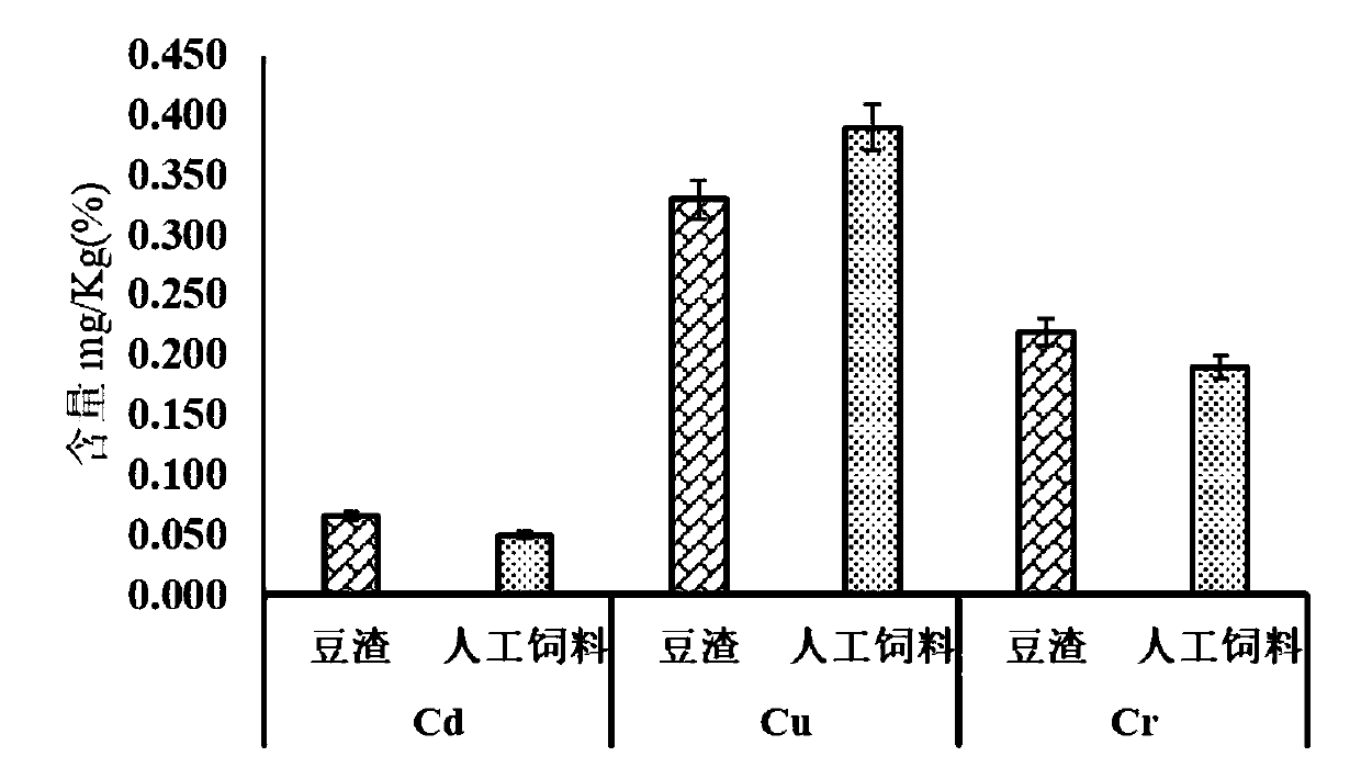 Method for cooperatively converting bean dregs by virtue of Hermetia illucens and microorganisms